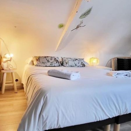 La Cabane - Petit Studio Mansarde - Plage 50M - Rue Gratuite Сен-Мало Экстерьер фото