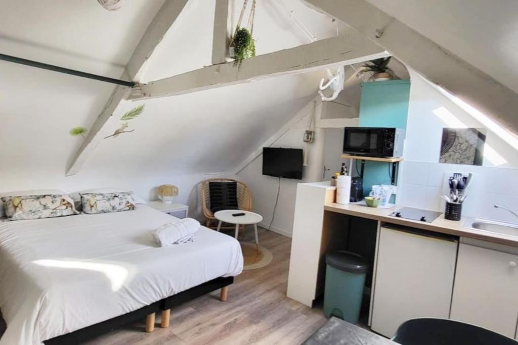 La Cabane - Petit Studio Mansarde - Plage 50M - Rue Gratuite Сен-Мало Экстерьер фото