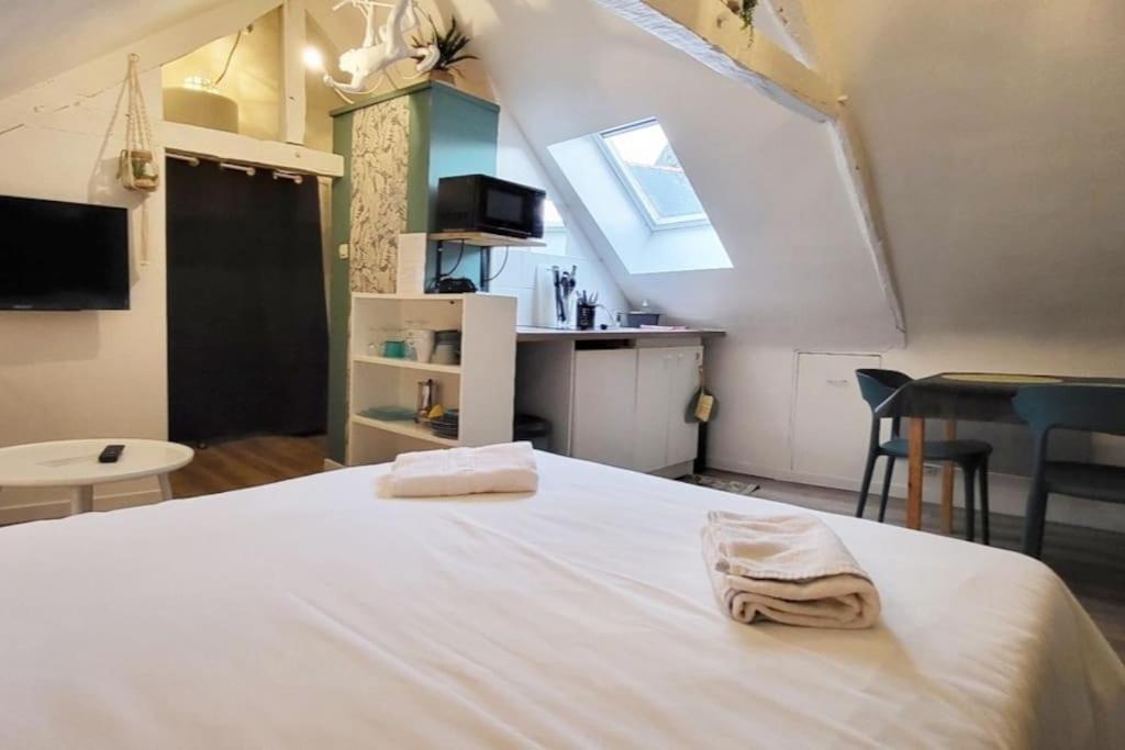 La Cabane - Petit Studio Mansarde - Plage 50M - Rue Gratuite Сен-Мало Экстерьер фото